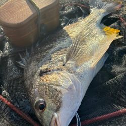 ヘチってきました