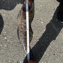 久しぶりの釣り