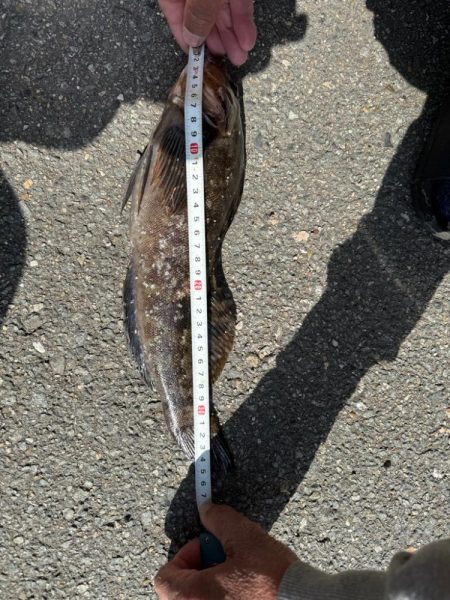 久しぶりの釣り