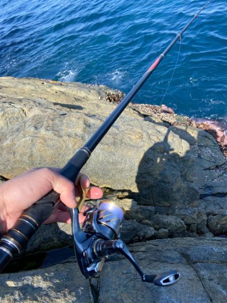 チヌに好かれてます