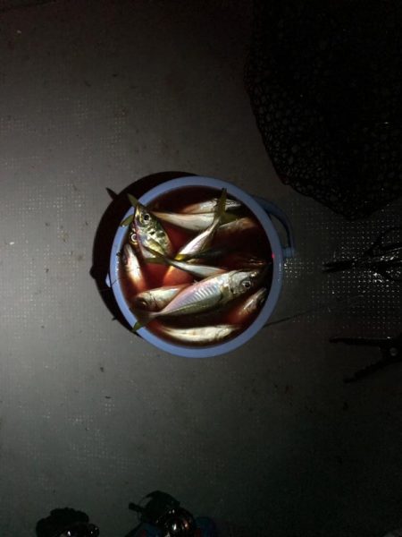 美保湾ボートアジング