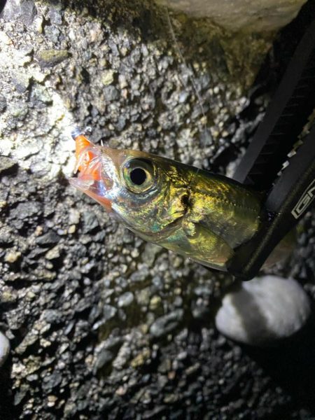 フロートメバリング