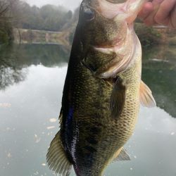 1日ボート釣行！