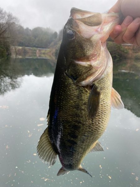 1日ボート釣行！