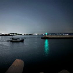 メバル13&ガッシー