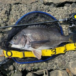 ピーカンベタ凪の沼状態