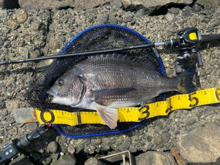 ピーカンベタ凪の沼状態