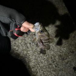 久しぶりの集合