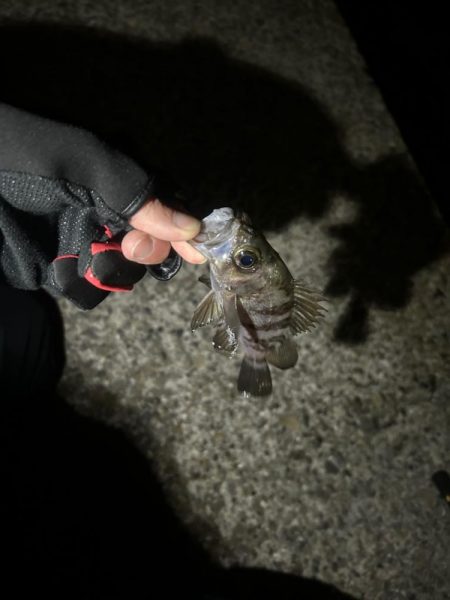 久しぶりの集合