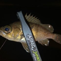 アジング&メバリング