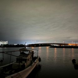 メバル14&タケノコ②