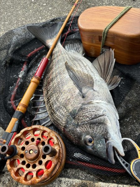 ヘチってきました