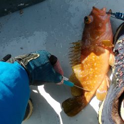 粘ってマダイゲット！一つテンヤ