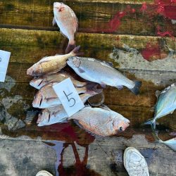 海上釣り堀 福寿丸