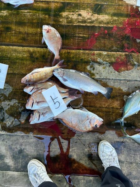 海上釣り堀 福寿丸