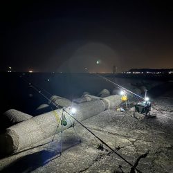 戻りカレイ(花見カレイ)