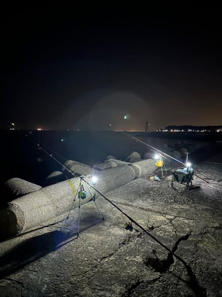 戻りカレイ(花見カレイ)
