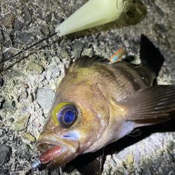 爆風ライトゲーム