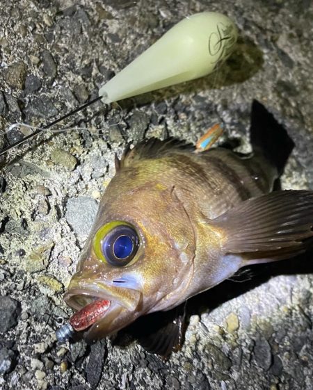 爆風ライトゲーム