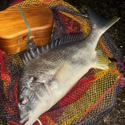 ヘチってきました