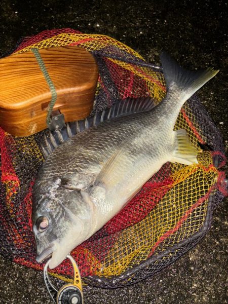 ヘチってきました