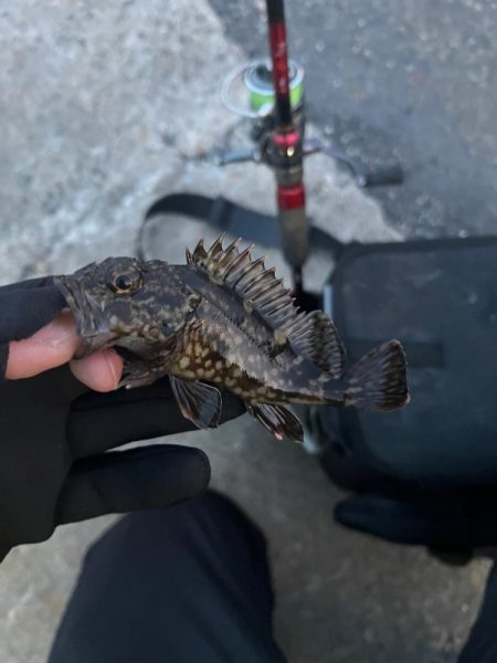 まだまだ極寒ライトゲーム