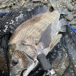 寒さは少し和らいで