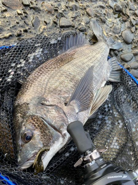 寒さは少し和らいで