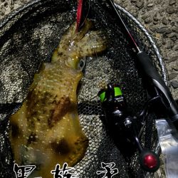 強風あけて久しぶりの釣行