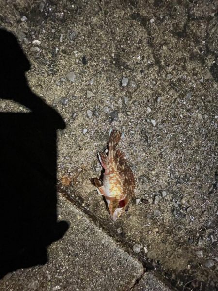 またも、厳しかった…