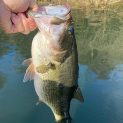 1日ボート釣行！