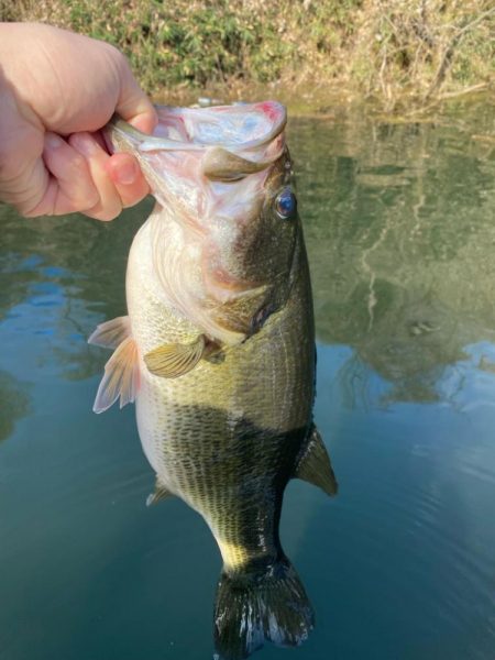 1日ボート釣行！