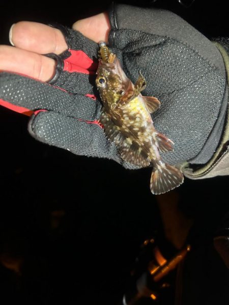 予報とちがう、、、