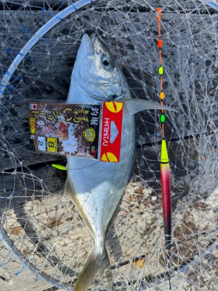 MFG海上釣り堀大会に参加してきました🎣