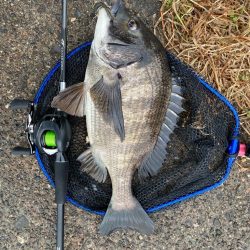 雨上がりチニング