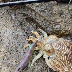 海の中も春に！