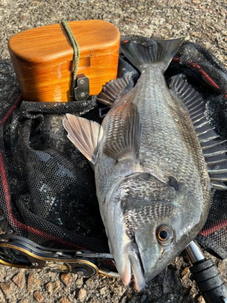 ヘチってきました