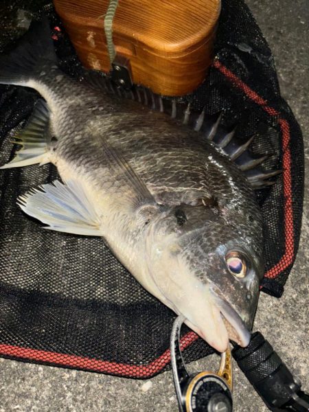 ヘチってきました