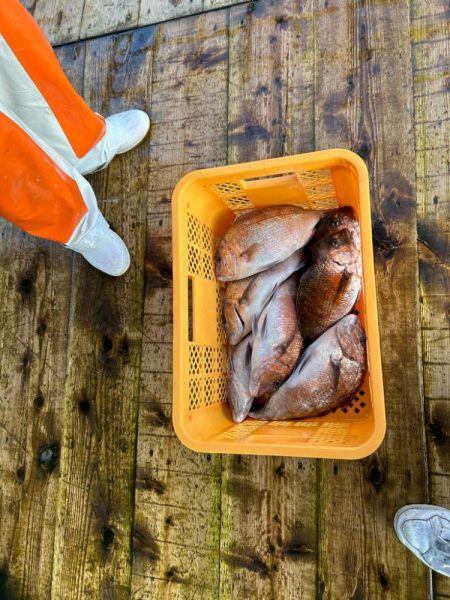 あなたに逢い鯛　夕まずめコース