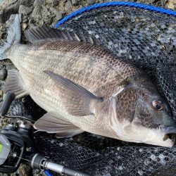 春なのに冬のようなパターンのチニング