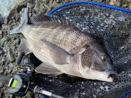 春なのに冬のようなパターンのチニング