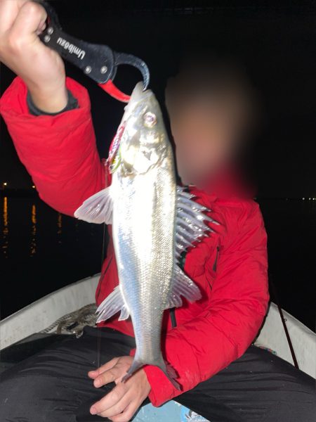 ボートシーバスふ