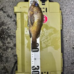 強風ライトゲーム