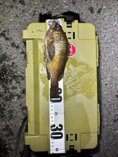 強風ライトゲーム