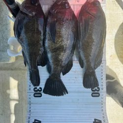たかみ丸　鯛メバル釣り