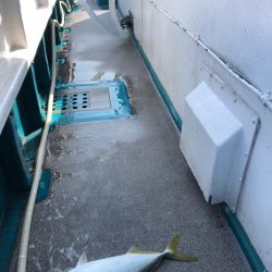 ハマチキャスティング