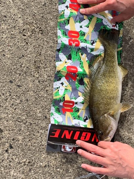 うれしい今年初バス‼️