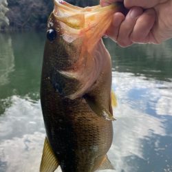 1日ボート釣行！