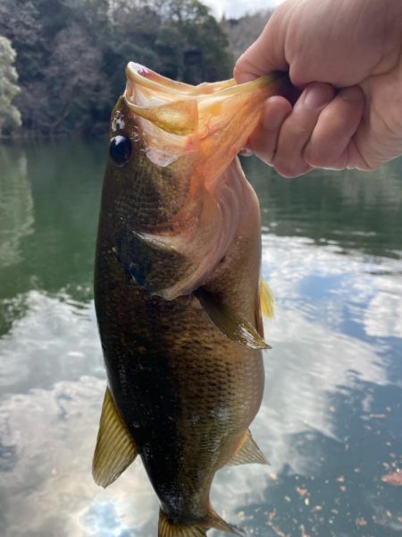 1日ボート釣行！