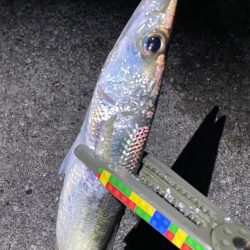 爆風カマシング